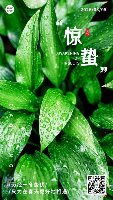 惊蛰节气祝福手机海报预览效果