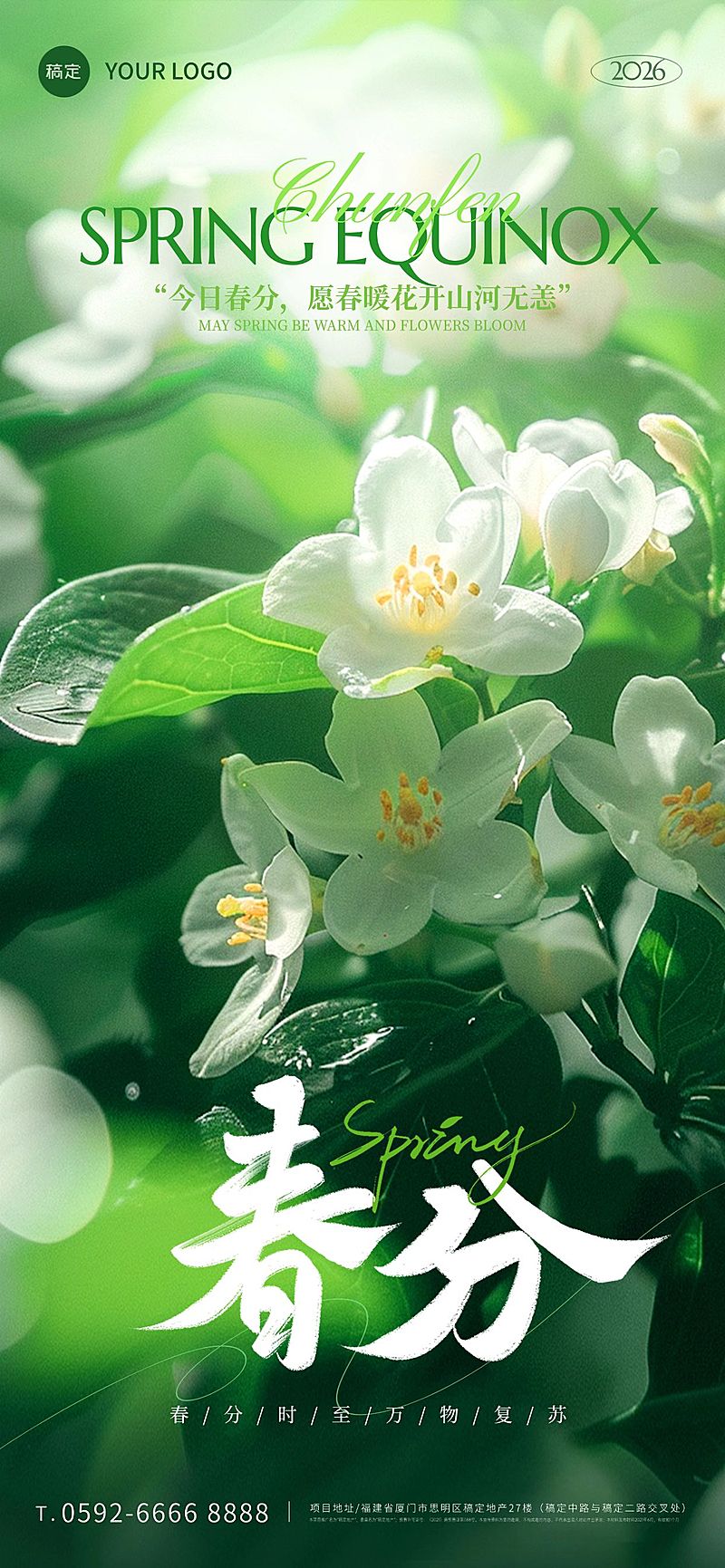 春分节气实景感光影花朵海报AIGC