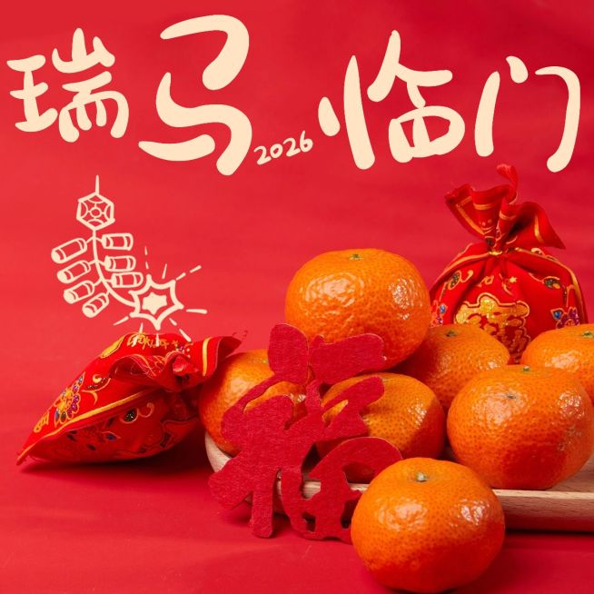 春节新春新年晒图晒照PLOG模板预览效果