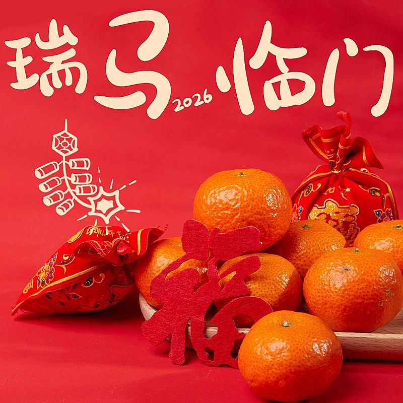 春节新春新年晒图晒照PLOG模板