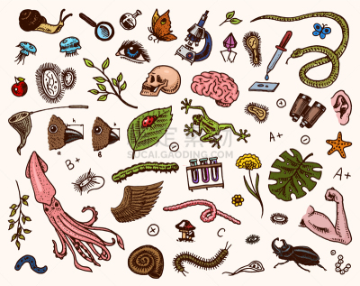 生物学,科学,实验室,图标集,健康保健,显微镜,技术,分子,设备用品