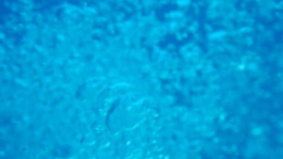 气泡上升。水下射击。慢动作。