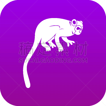 猴子,紫色,狨猴,图标,可爱的,野生动物,灵长目,猿,哺乳纲,坐