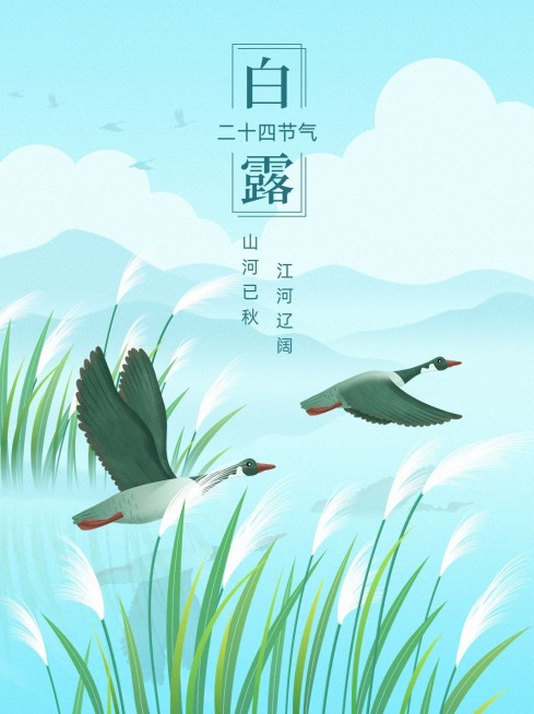 白露节气祝福小红书封面预览效果