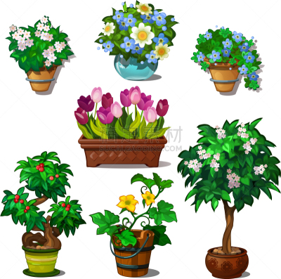 花瓶,锅,植物群,园林,家畜,清新,花盆,图像,布置,装饰