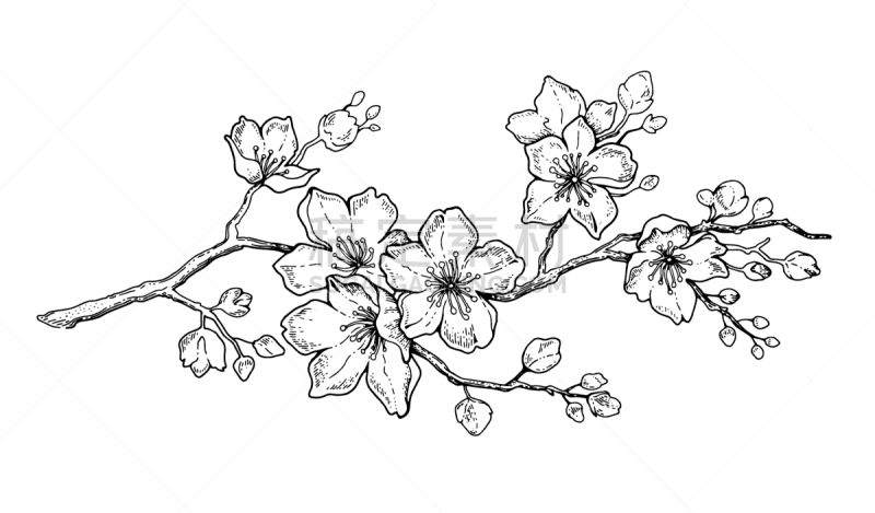 樱桃,春天,花朵,植物学,华丽的,复活节,纺织品,婚礼