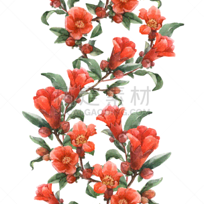 水彩画,花纹,自然,华丽的,纺织品,花朵,壁纸,叶子,装饰,复古