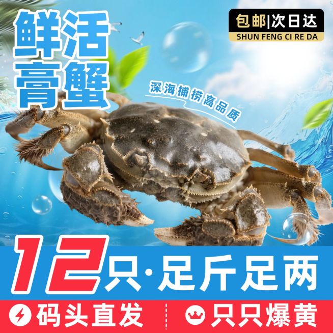 螃蟹膏蟹大闸蟹海鲜水底背景商品主图产品主图AIGC预览效果