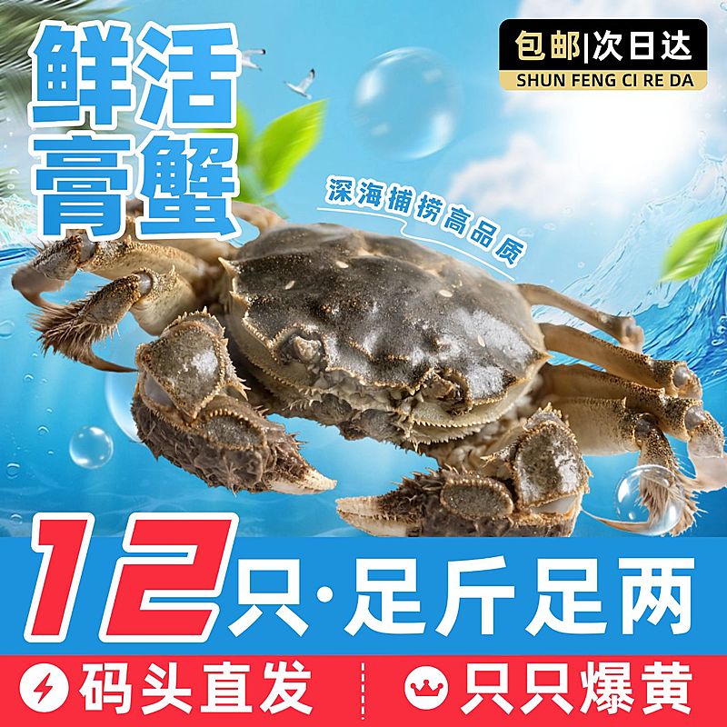 螃蟹膏蟹大闸蟹海鲜水底背景商品主图产品主图AIGC