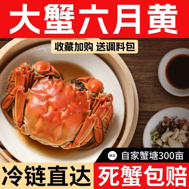 螃蟹大闸蟹六月黄食品生鲜美食商品主图产品主图AIGC预览效果