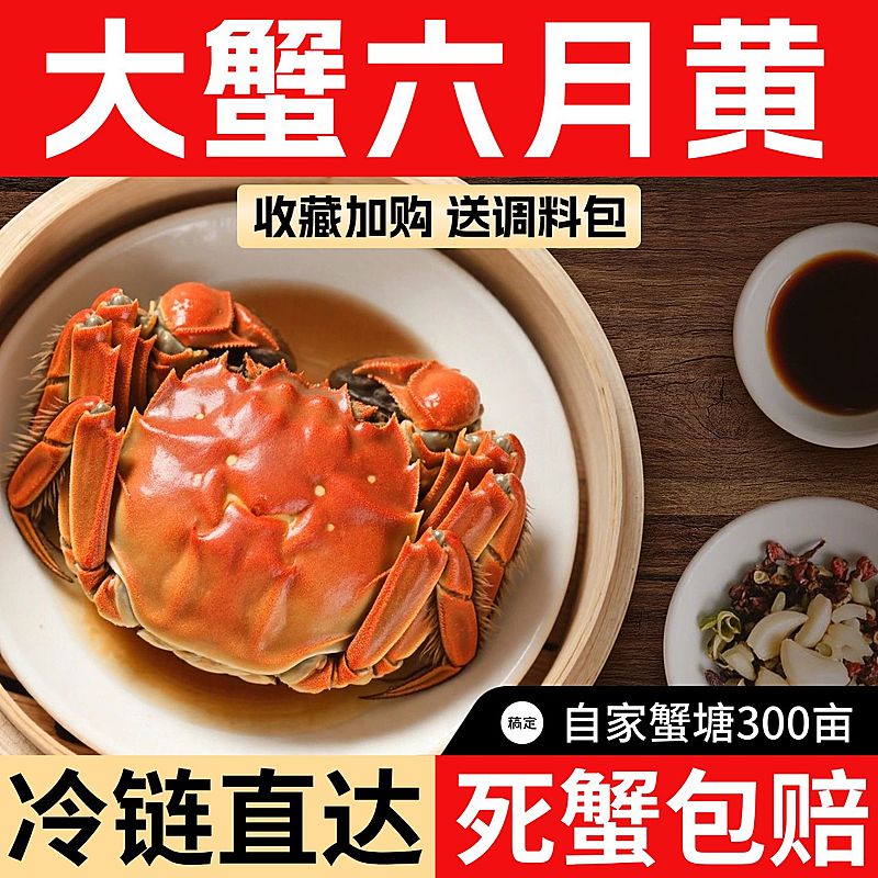 螃蟹大闸蟹六月黄食品生鲜美食商品主图产品主图AIGC