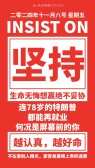 模板缩略图