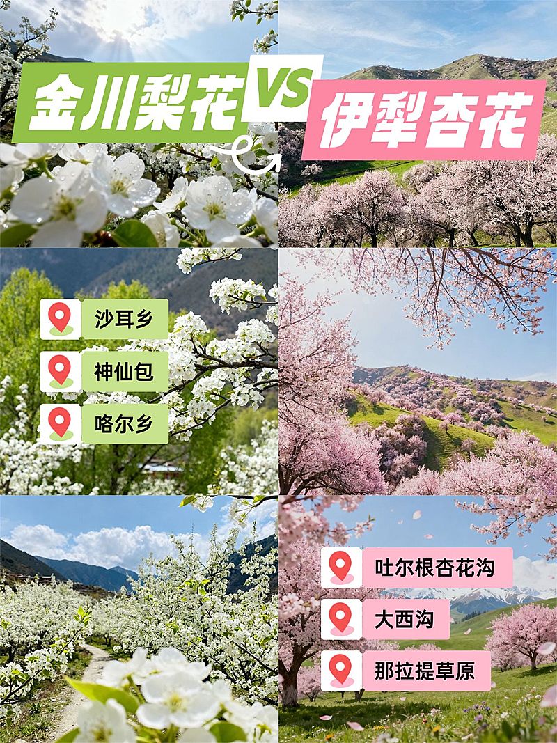 旅游出行川西行程推荐旅游出行攻略拼图小红书封面