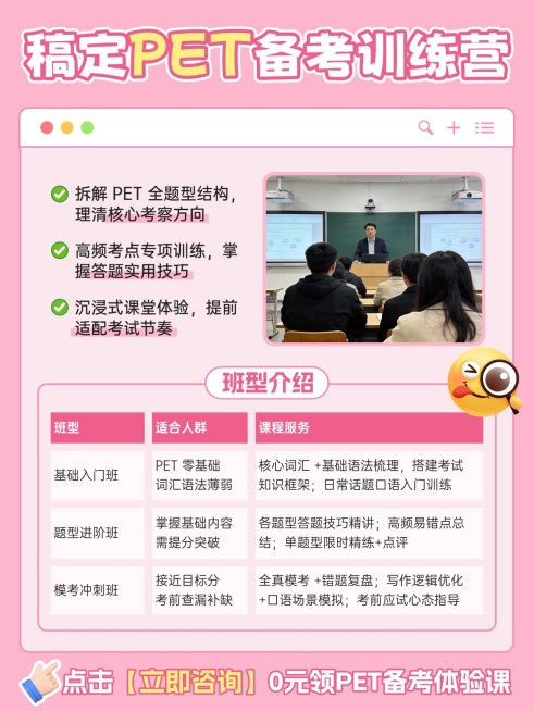 教育培训K12教育PET课程介绍拼图小红书配图预览效果