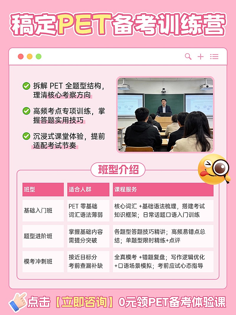 教育培训K12教育PET课程介绍拼图小红书配图