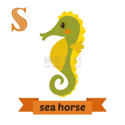 可爱的,海马,动物,儿童,英文字母S,分离着色,鸡尾酒,自然,动物园,野生动物