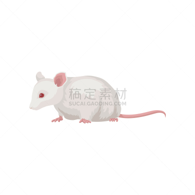 啮齿目,图标,平坦的,实验大白鼠,鼠,可爱的,外套,野生动物,模板,哺乳纲
