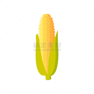 玉米,绘画插图,计算机图标,矢量,甜玉米,白色背景,分离着色,农业,可爱的,蔬菜