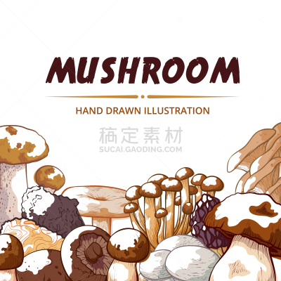 食用菌,图标,动物手,背景,边框,蔬菜,Porcini Mushroom,单词,配方,绘制
