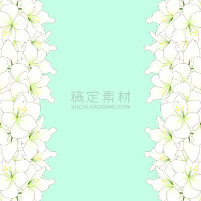 白色,孤挺花,国境线,复活节,植物群,婚礼,自然美,阿马里罗,问候