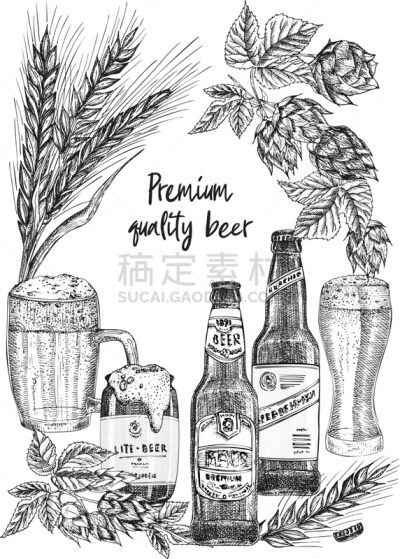 瓶子,草图,玻璃杯,比尔,蛇麻草,饮料,大麦,菜单,绘制,布置