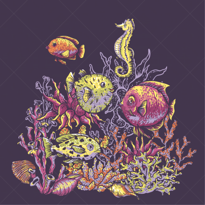 绘画插图,水下,自然,矢量,贺卡,海洋生命,背景分离,珊瑚色,纺织品,野生动物