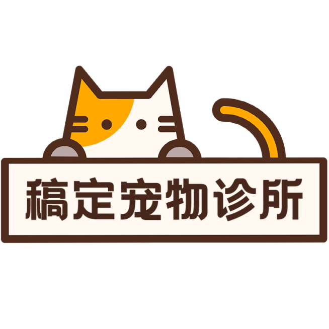 小红书宠物行业热门推荐标签文字预览效果