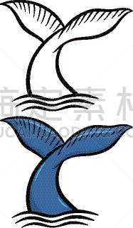 鲸,图画书,濒危物种,自然,海洋生命,能力,图像,海洋,哺乳纲,大西洋