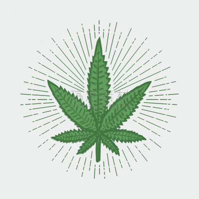 叶子,痕迹,健康保健,模板,草,品牌名称,复古,绘制
