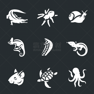 动物,宠物,鸡尾酒,鳄鱼,蛇,短吻鳄属,水禽,昆虫,捕猎行为,收集