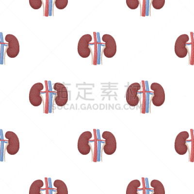 分离着色,白色,肾脏,时尚,计算机图标,动画片,生物学,健康保健,人,生病