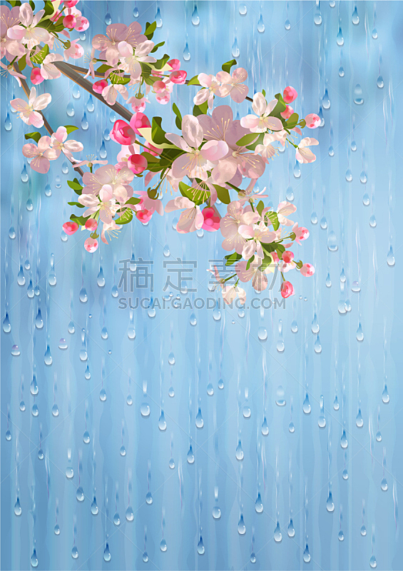 雨,春天,植物,水滴,窗户,花朵,湿,华丽的,浪漫,花