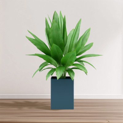 insMind Countertop Ecommerce Product Image 