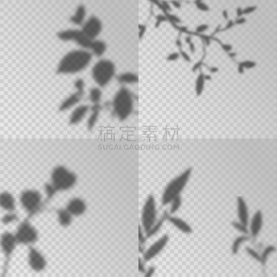 照明设备,阴影,植物,柔和,创造力,多层效果,透明,枝,叶子,矢量