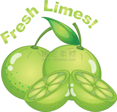 清新,酸橙,白色背景,白色,绿色,维生素,自然,图像,矢量,瘦身