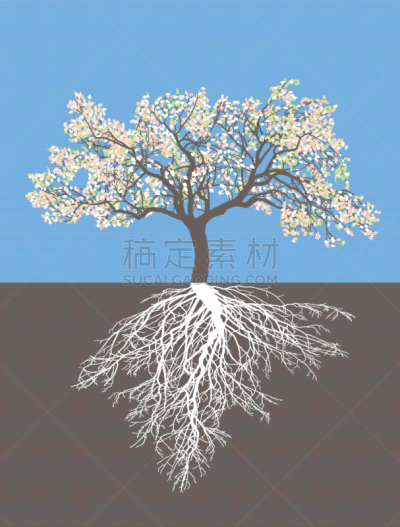 春天,苹果树,起源,农业,自然,环境,图像,苹果,矢量,植物