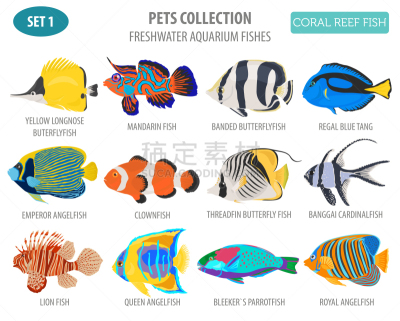 水族馆,图标集,鱼类,图像,矢量,蝴蝶鱼,小丑鳞鲀,黄高鳍刺尾鱼,海葵