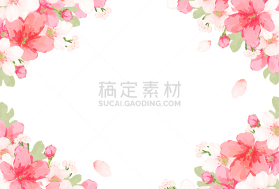 边框,矢量,樱花,华丽的,请柬,贺卡,水彩画颜料,清新,浪漫
