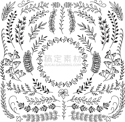 华丽的,叶子,枝,动物手,花纹,轮廓,白色,直的,绘制,弯曲