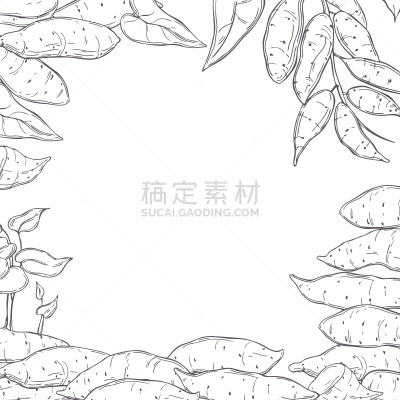 甘薯,手,矢量,背景聚焦,绘制