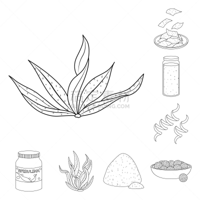 素食,食品,品牌名称,饮料,蔬菜,健康保健,螺线,清新,营养品,布置