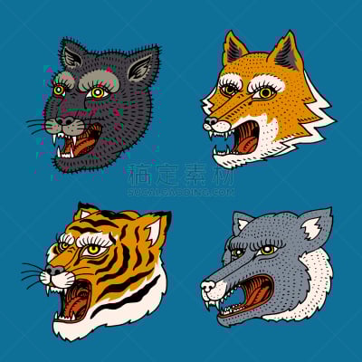 彪马,狐狸,捕猎行为,狼,动物头,野外动物,虎,猴子,可爱的,野生动物