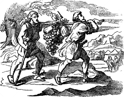 绘画插图,图画书,Israelite,Moses,神,信使,男人,白色,复古