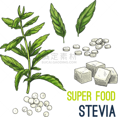 食品,草图,彩色图片,充满的,有机食品,素食,蔬菜,精神振作,绘制,收集