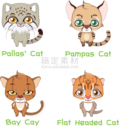 动物,野生猫科动物,多样,可爱的,宠物,自然,动物园,野生动物,收集,设计