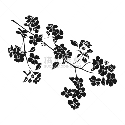 花朵,嫩枝,苹果,传统,樱桃,自然美,春天,树,花