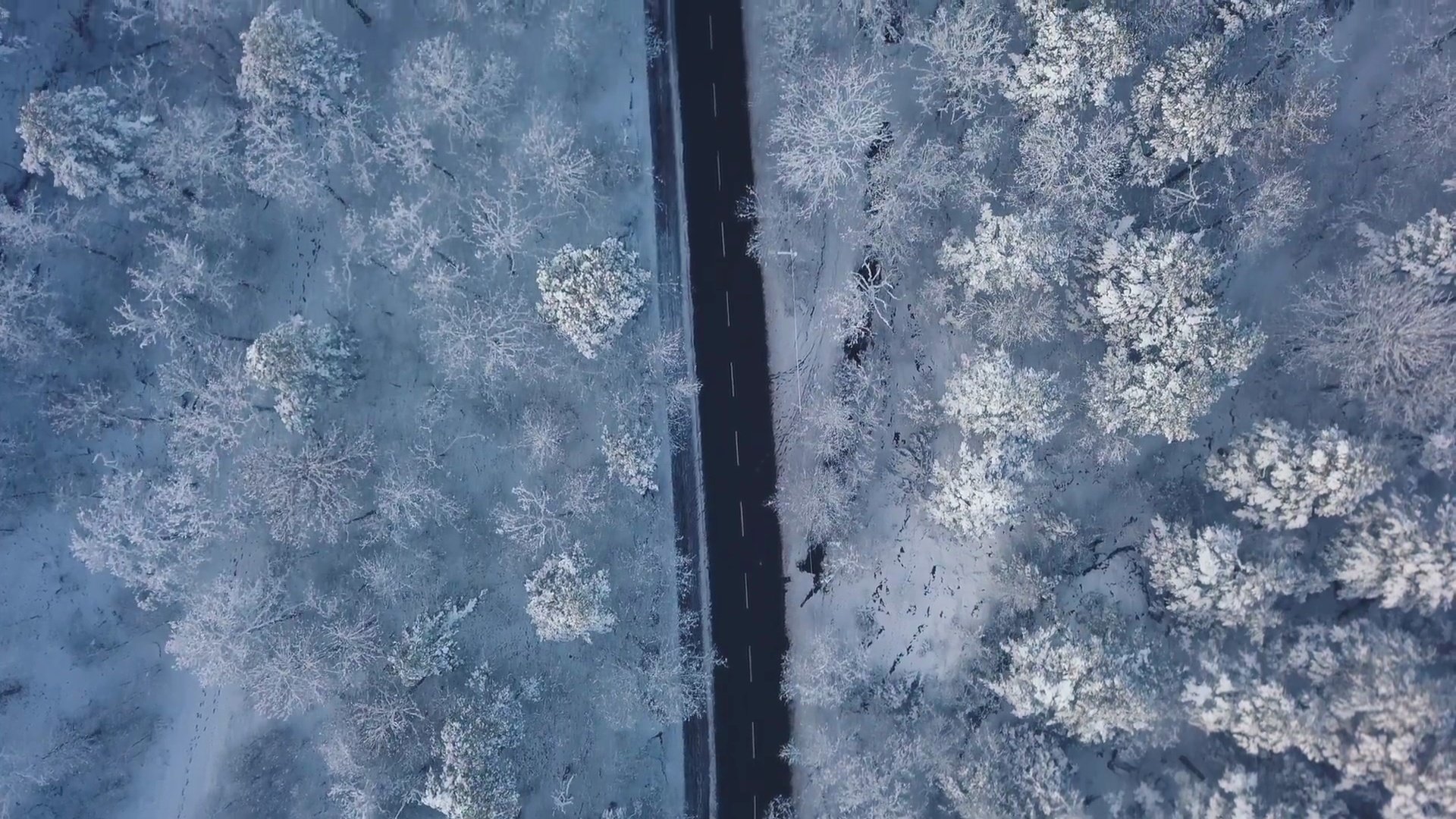 飞越雪景的空中公路之旅