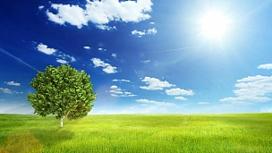 蓝色晴朗天空上的绿色田野