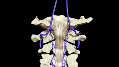 说明人体解剖的3D动画