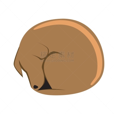 狗,绘画插图,乱画,宠物,矢量,平坦的,分离着色,概念,睡觉